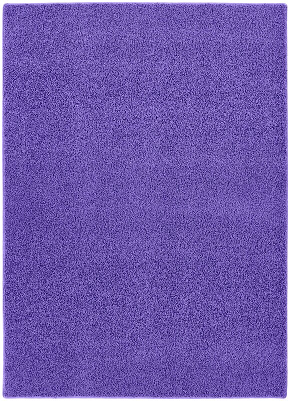 Kavka Ellis Green/Purple Indoor/Outdoor Area Rug 